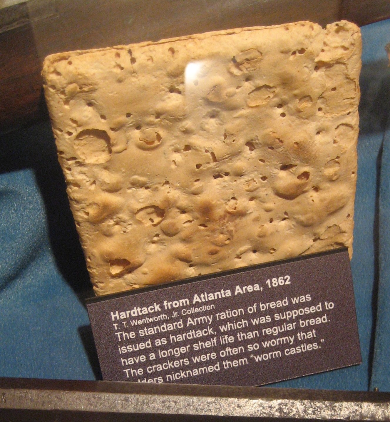 Preserved square of Civil War-era hardtack displayed at the Pensacola Museum of History